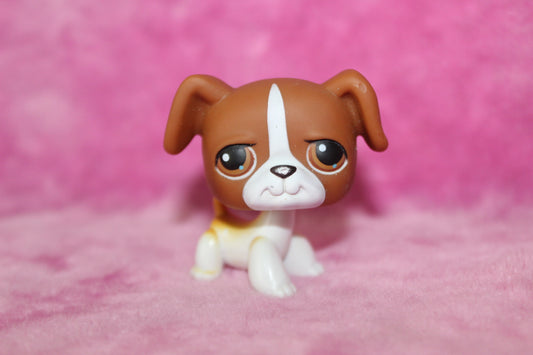 Authentic LPS Boxer Dog