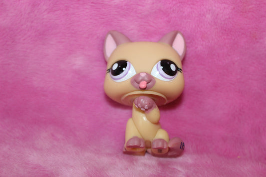 Authentic LPS Paw Up Cat