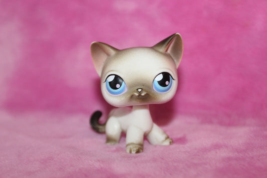 Authentic LPS Blemished Cat