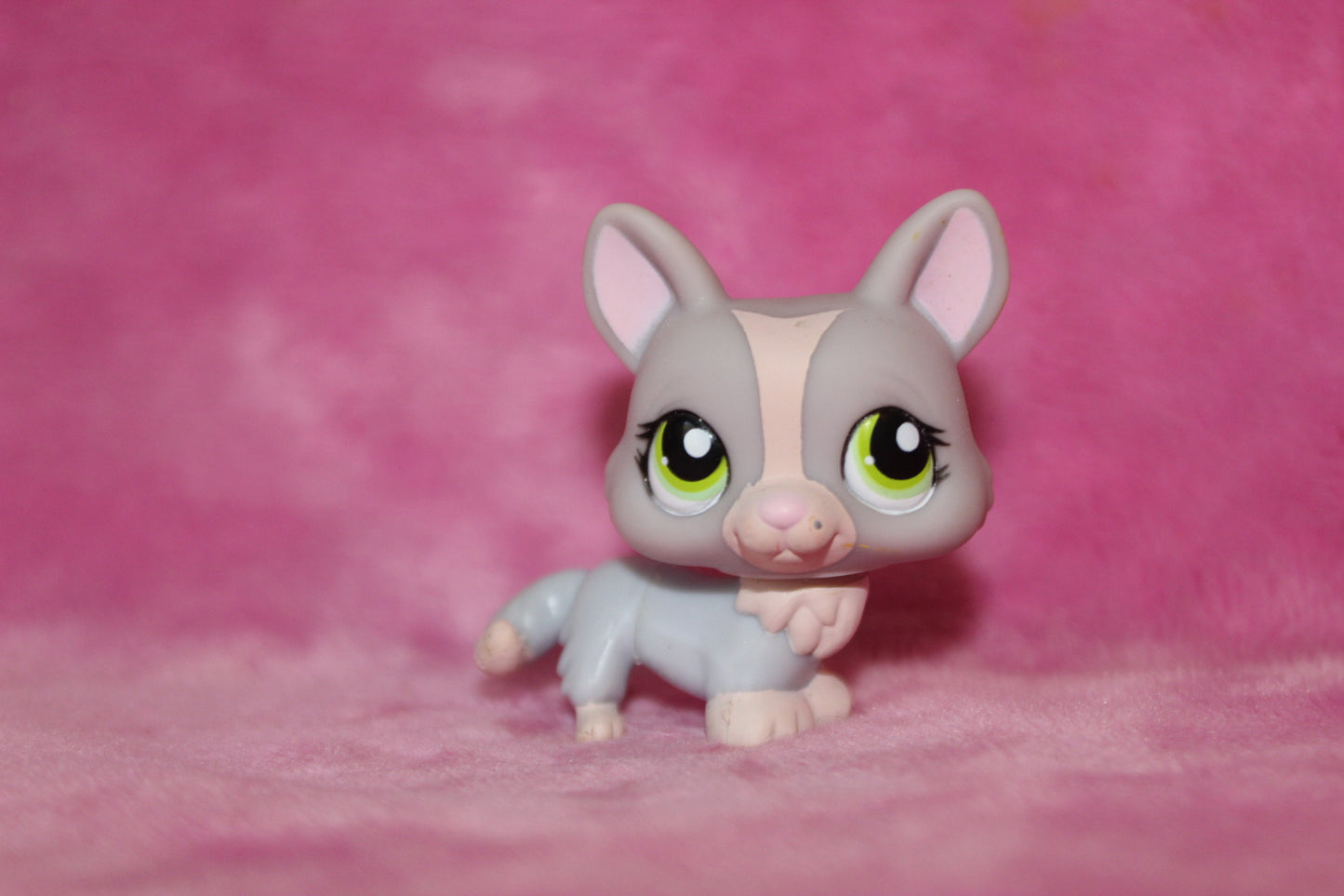 Authentic LPS Rare Blemished Corgi Dog