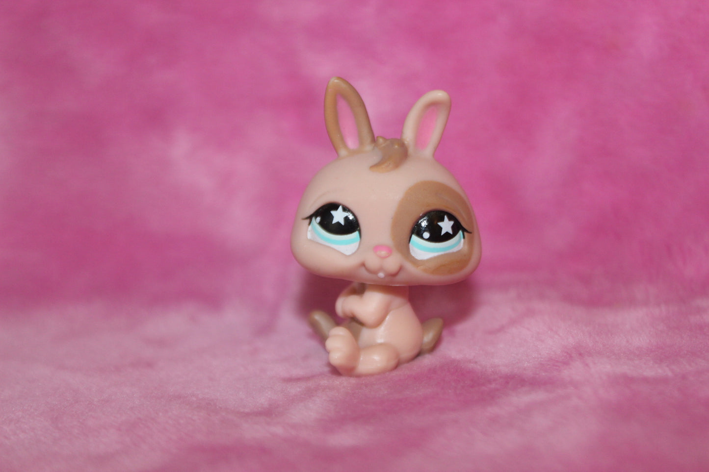 Authentic LPS Rabbit