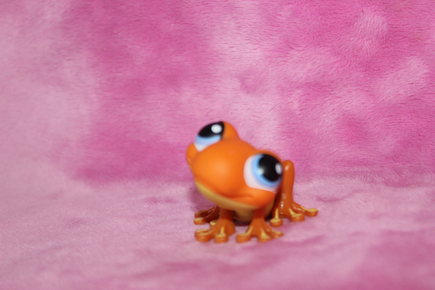 Authentic LPS Frog