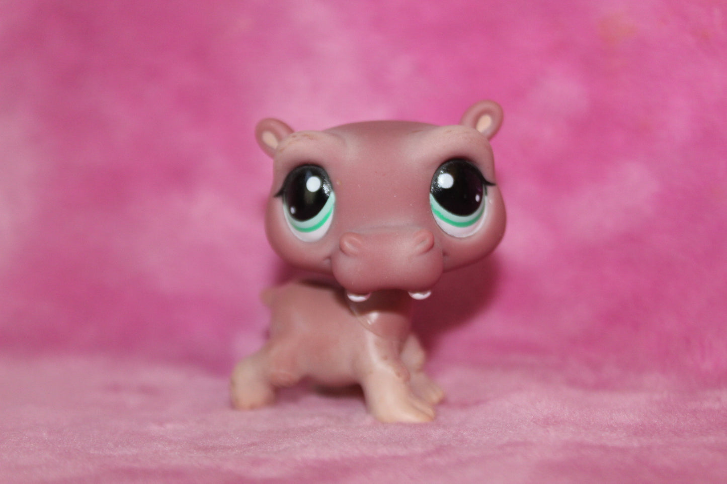 Authentic LPS Hippo