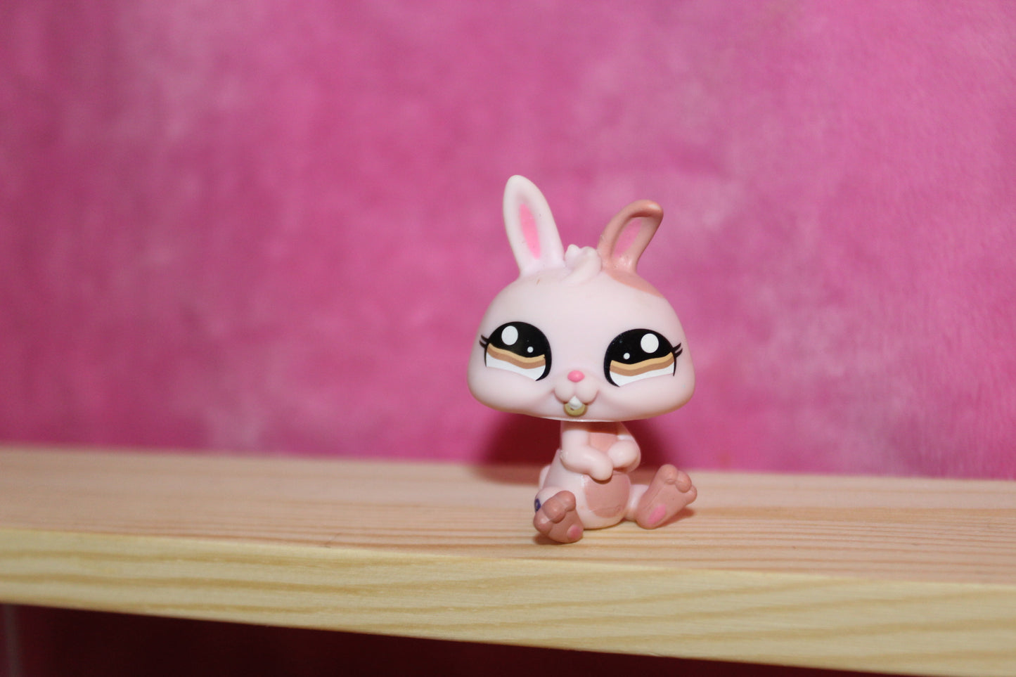 Authentic lps bunny