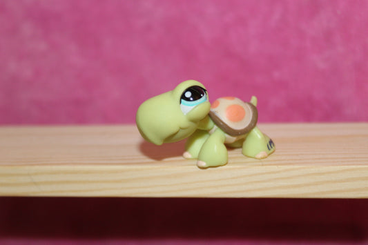 Authentic rare lps turtle