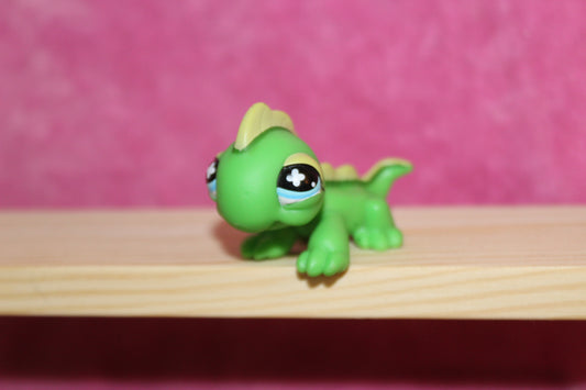 Authentic lps iguana