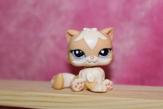 Authentic Rare LPS Persian Cat