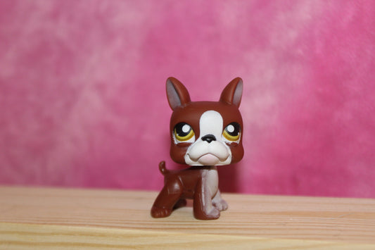 Authentic LPS Boston Terrier Dog