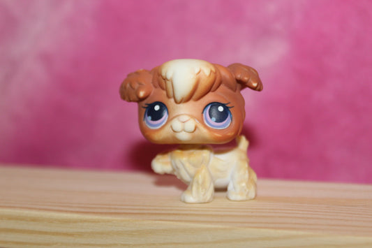 Authentic LPS blemished poodle dog