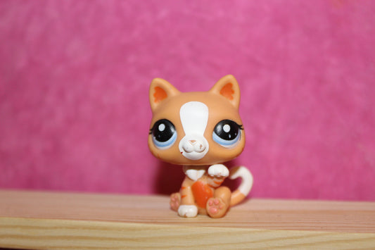 Authentic Blemished LPS Rare Cat