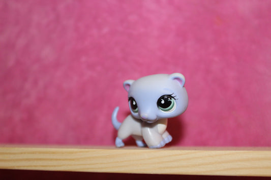 Authentic blemished lps ferret