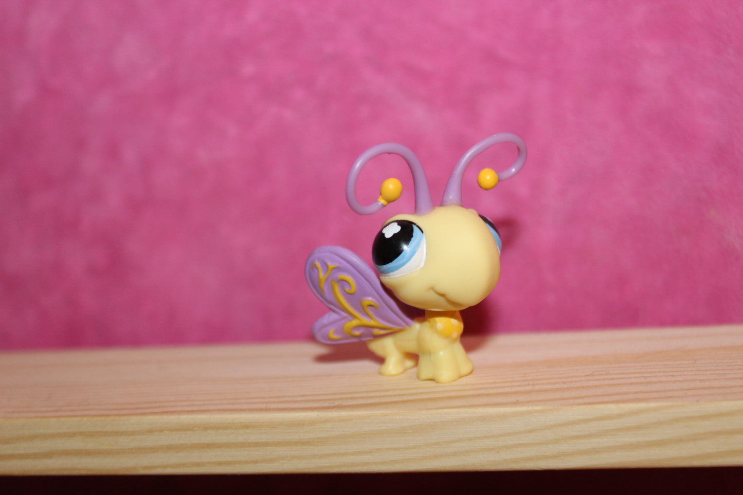 Authentic lps butterfly
