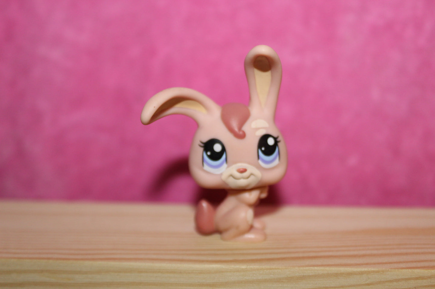 Authentic LPS Bunny