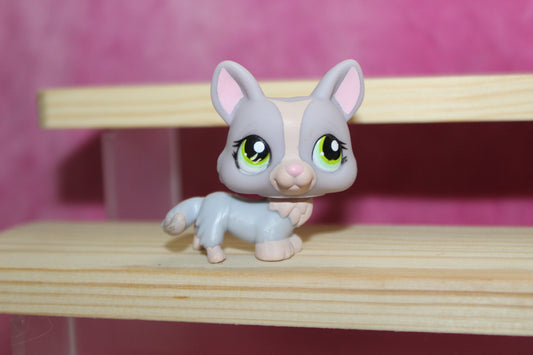 Authentic LPS Rare Corgi