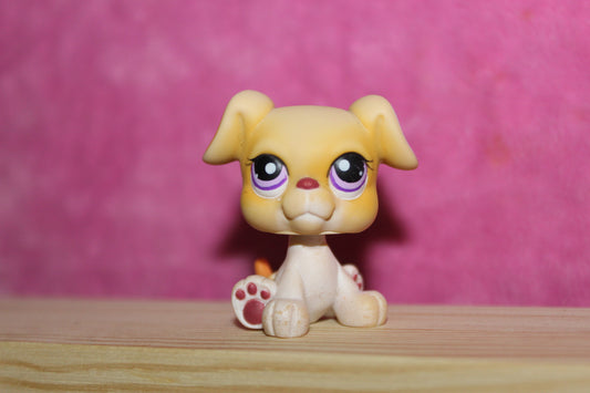 Authentic LPS Boxer Dog