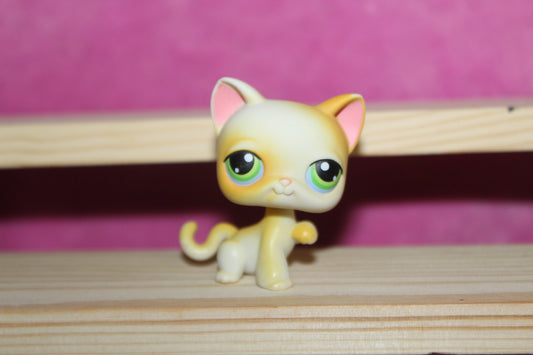 Authentic LPS Cat