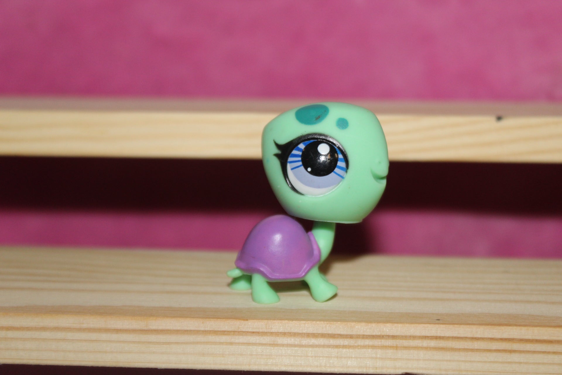 Authentic LPS New Gen Turtle – LPSSmoothie