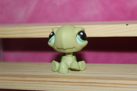 Authentic LPS Turtle