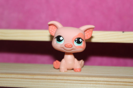 Authentic LPS Pig