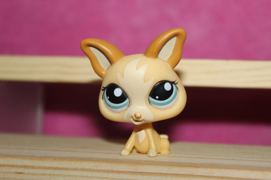 Authentic LPS Chihuahua
