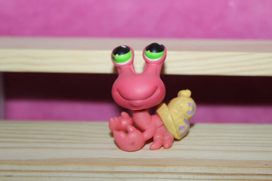 Authentic LPS Hermit Crab