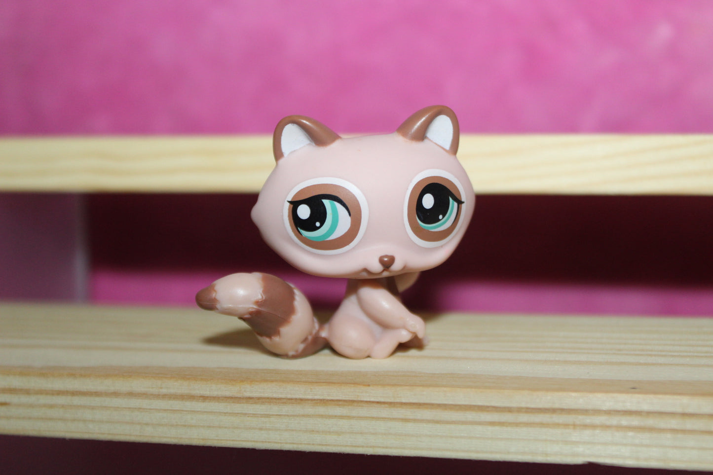 Authentic LPS Raccoon