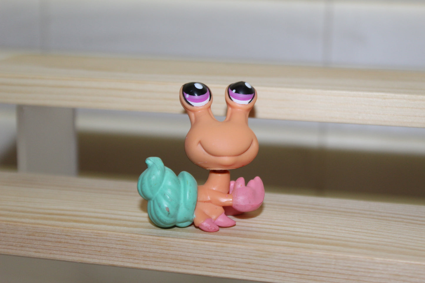 Authentic LPS Hermit Crab