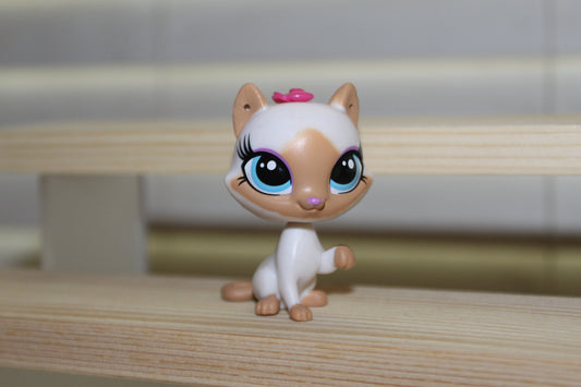 Authentic LPS cat