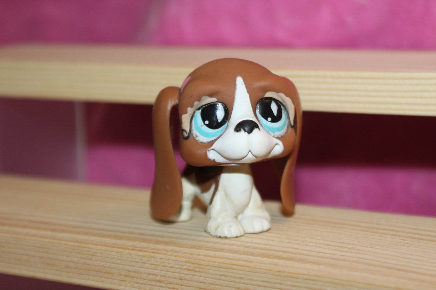 Authentic LPS Basset Hound