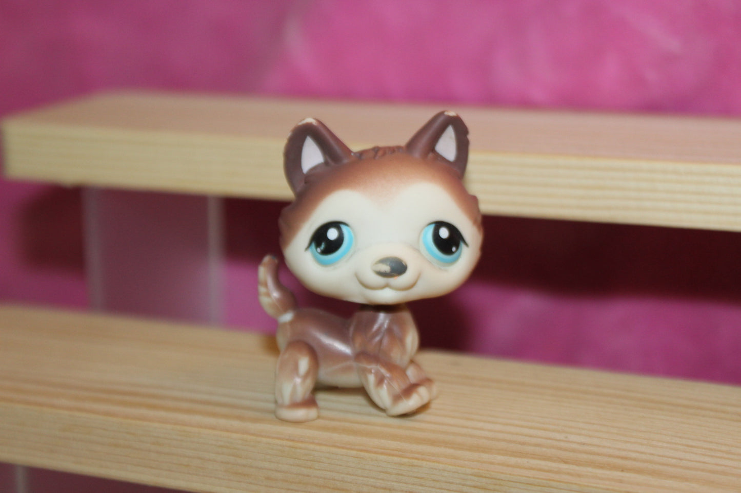 Authentic LPS husky