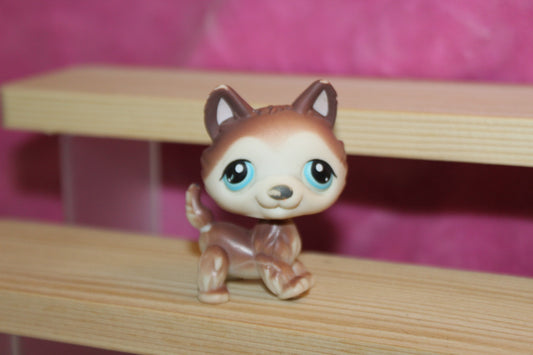 Authentic LPS husky