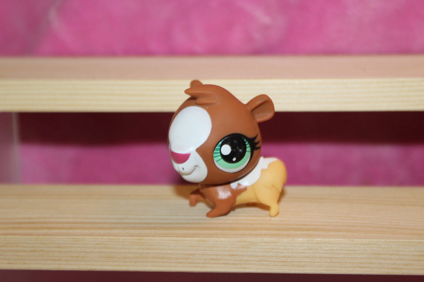 Authentic LPS guinea pig