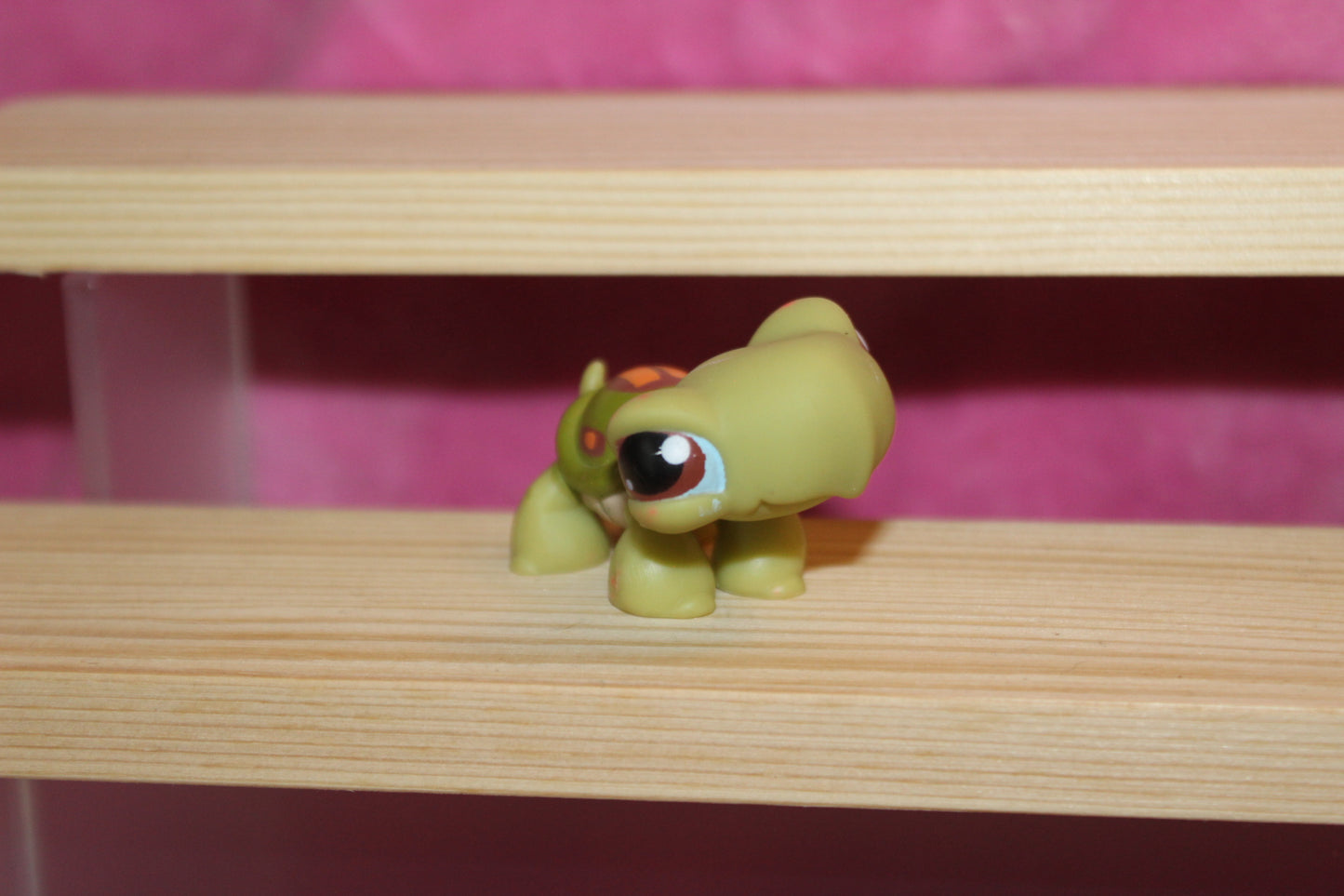 Authentic LPS turtle