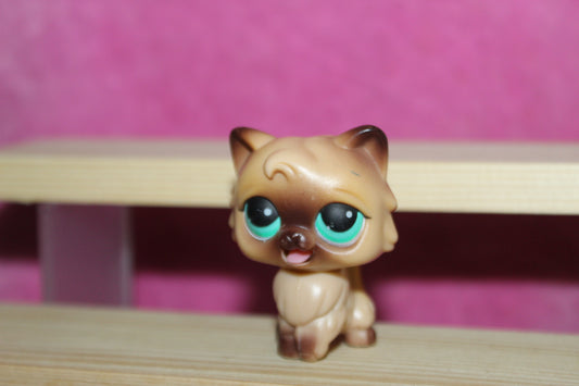 Authentic LPS  cat