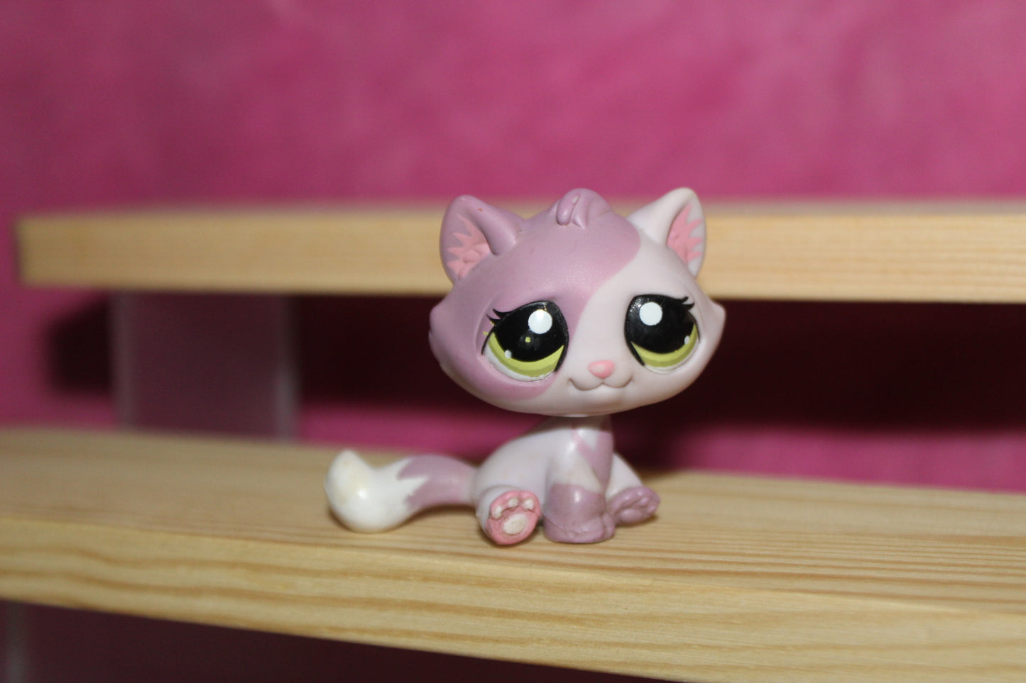Authentic LPS Rare Bon Bon Cat