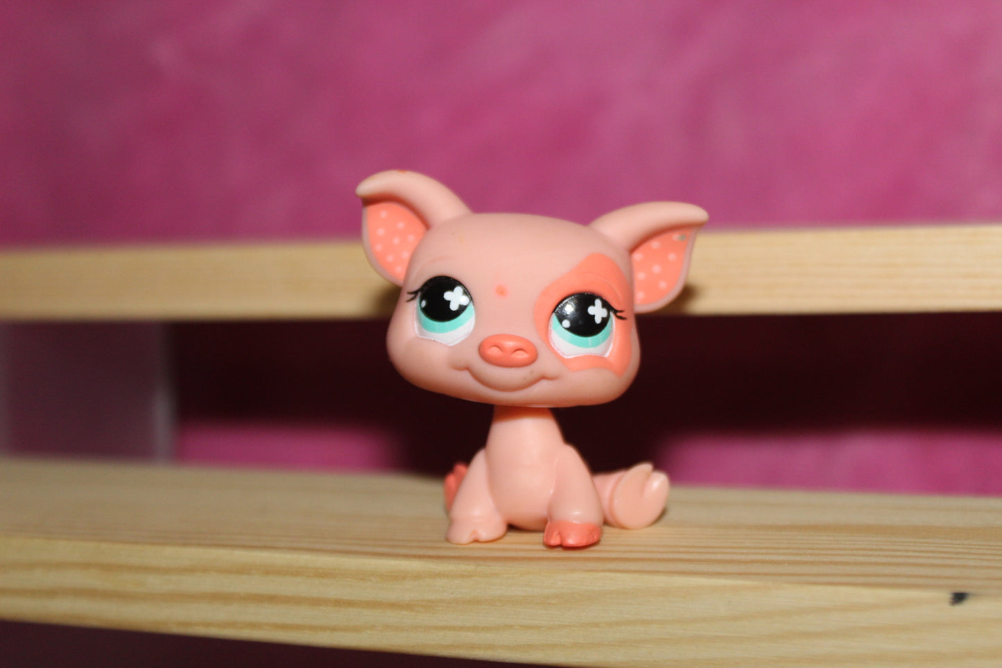 Authentic LPS Pig