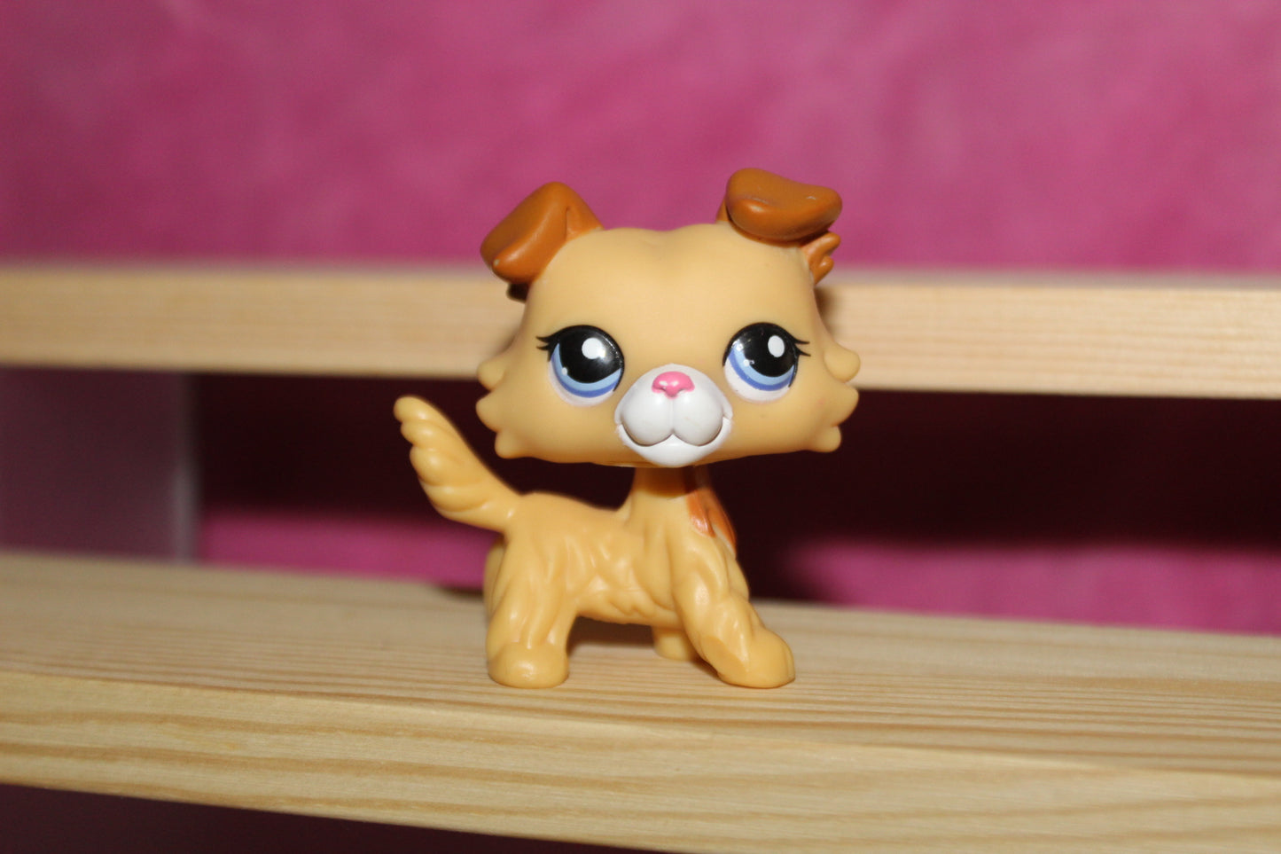 Authentic LPS Rare Blind Bag Collie Dog, Near Mint Condition
