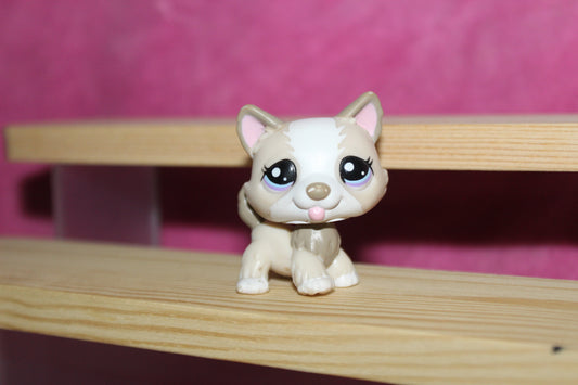 Authentic LPS Husky Dog