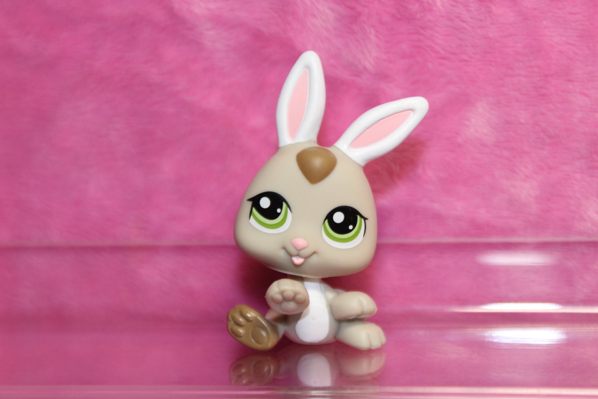 Products – LPSSmoothie