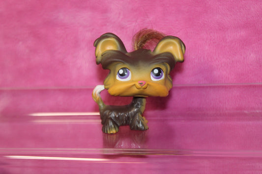 Authentic LPS Yorkie Dog