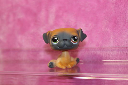 Authentic LPS Pug Dog