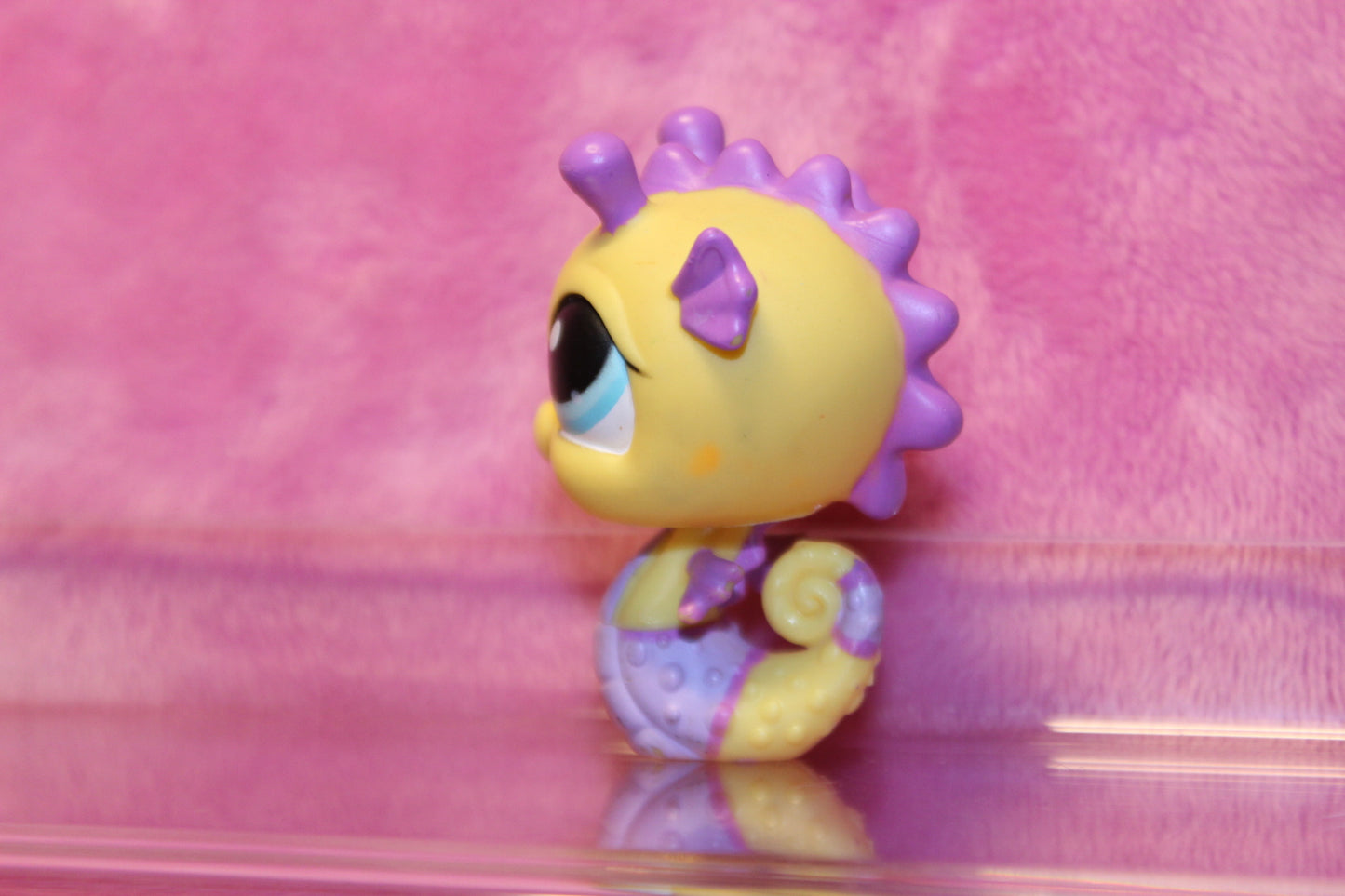 Authentic Blemished LPS Seahorse