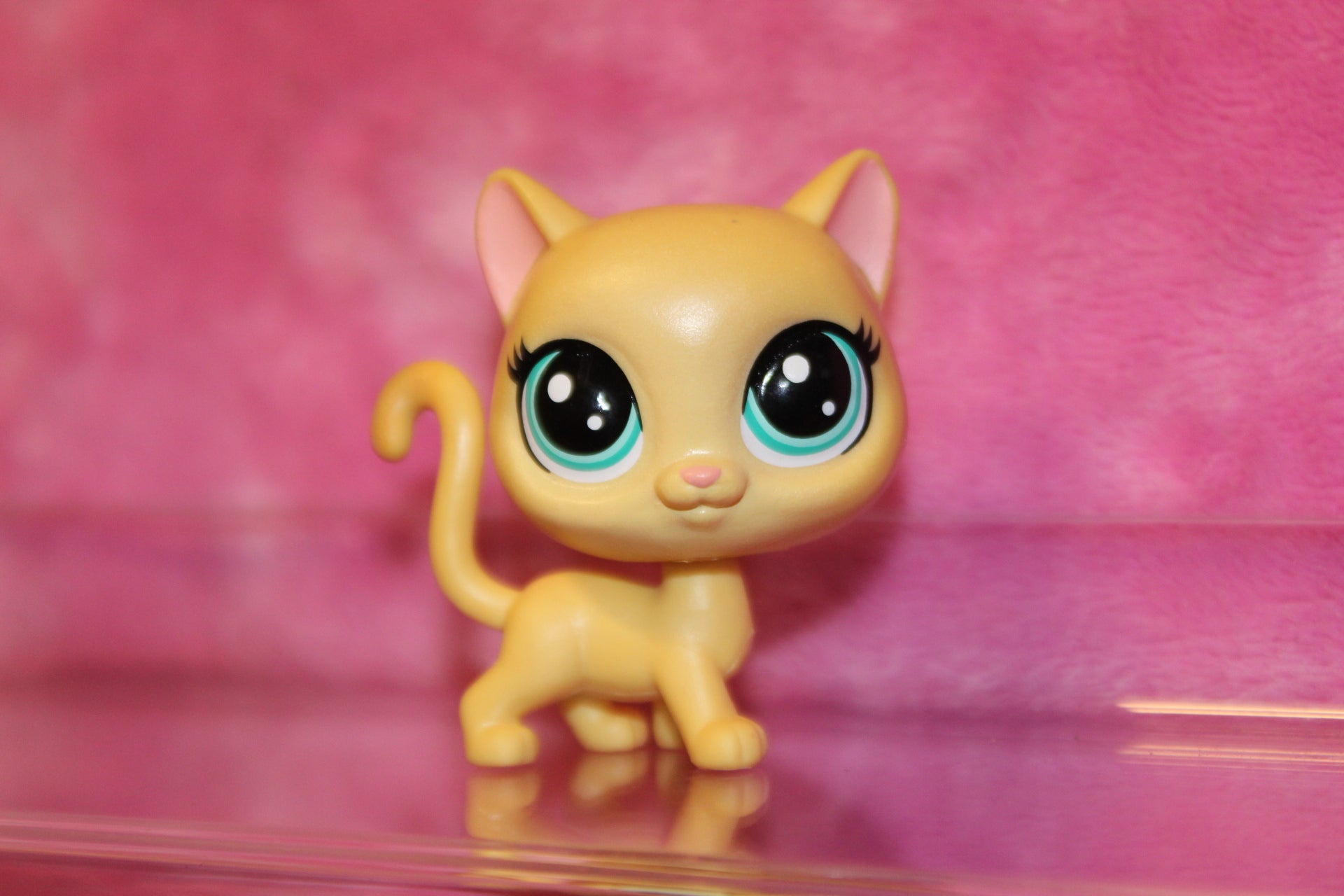 Lps glitter cat best sale