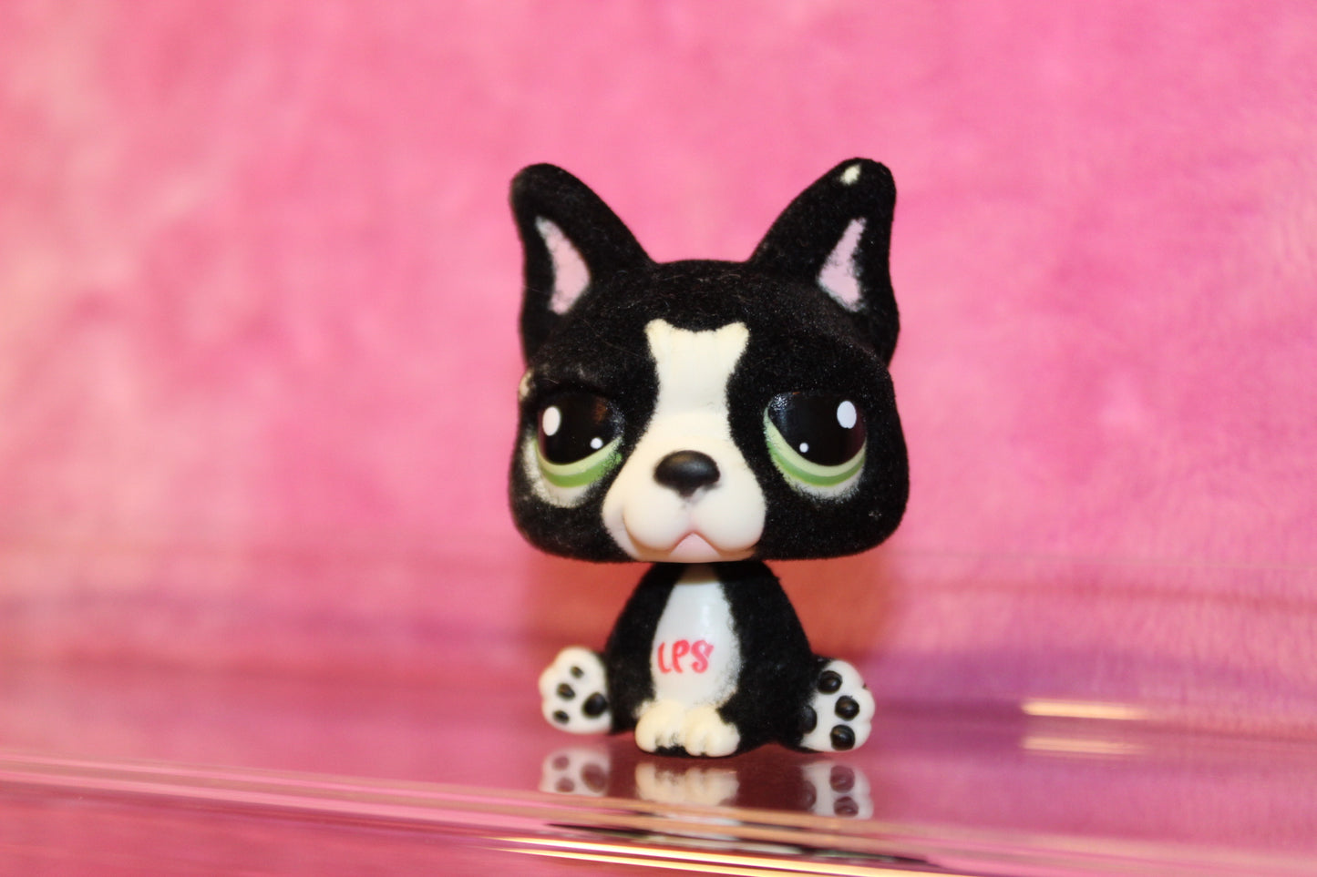 Authentic LPS Flocked French Bulldog