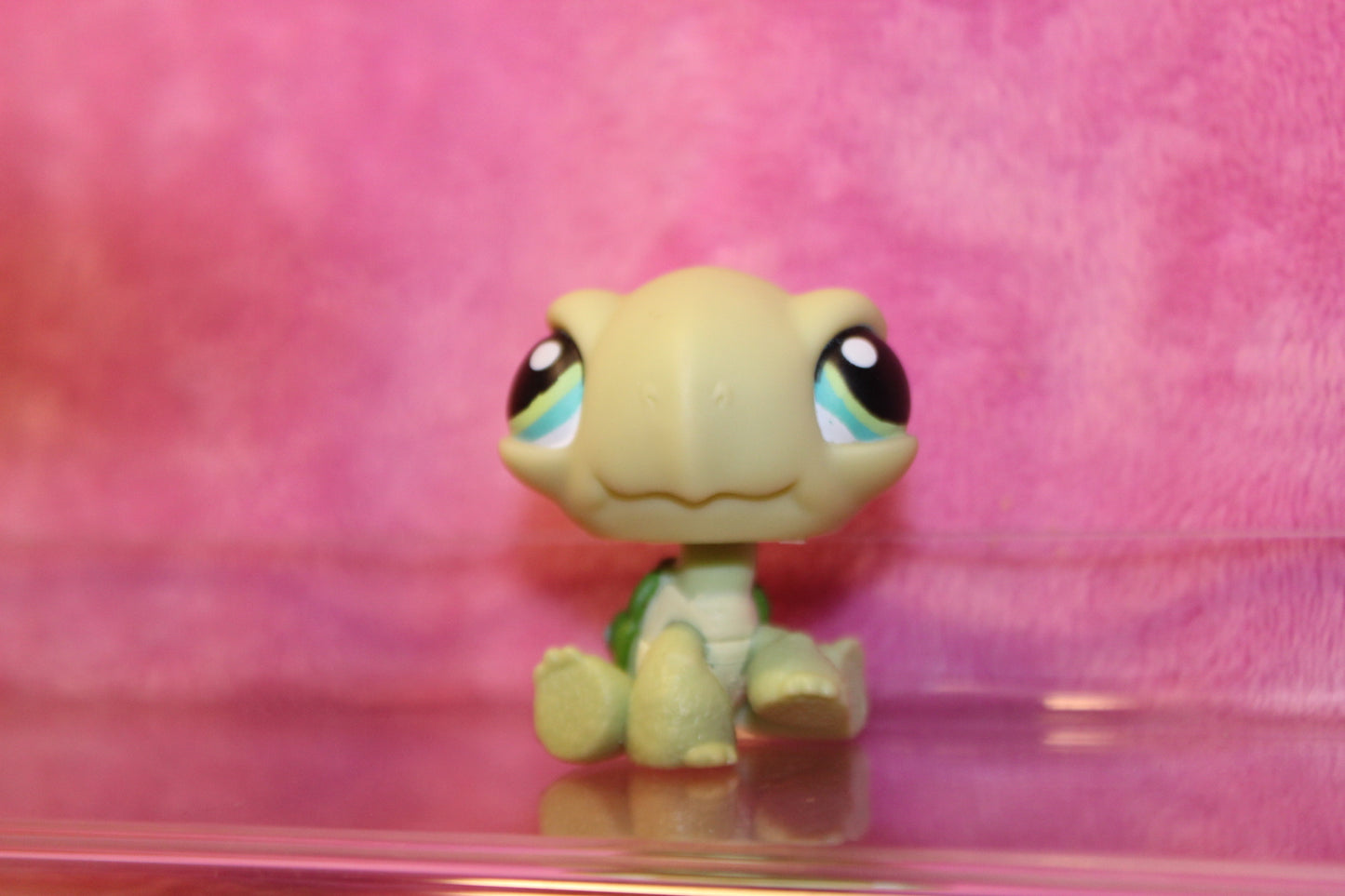 Authentic LPS Turtle