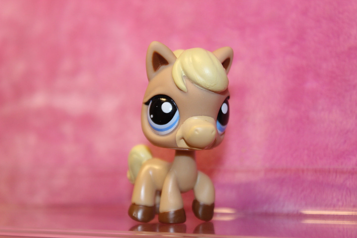 Authentic LPS Pony Horse