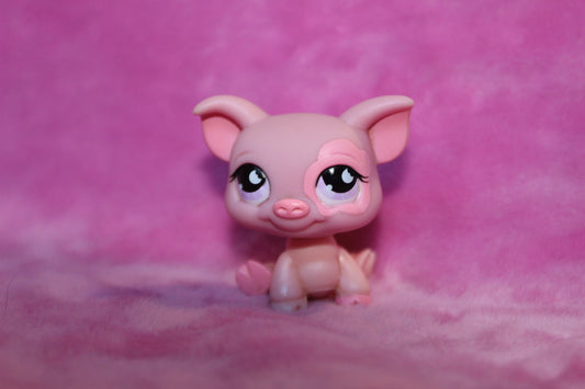 Authentic LPS Pig Purple Eyes