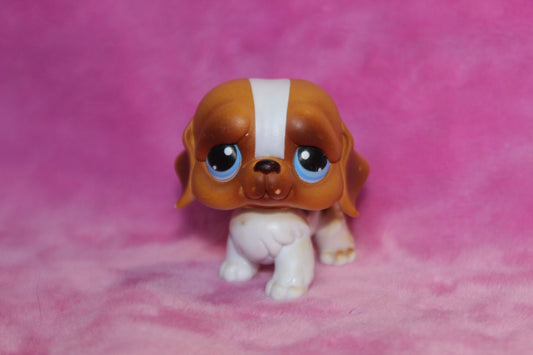 Authentic LPS St.Bernard Dog