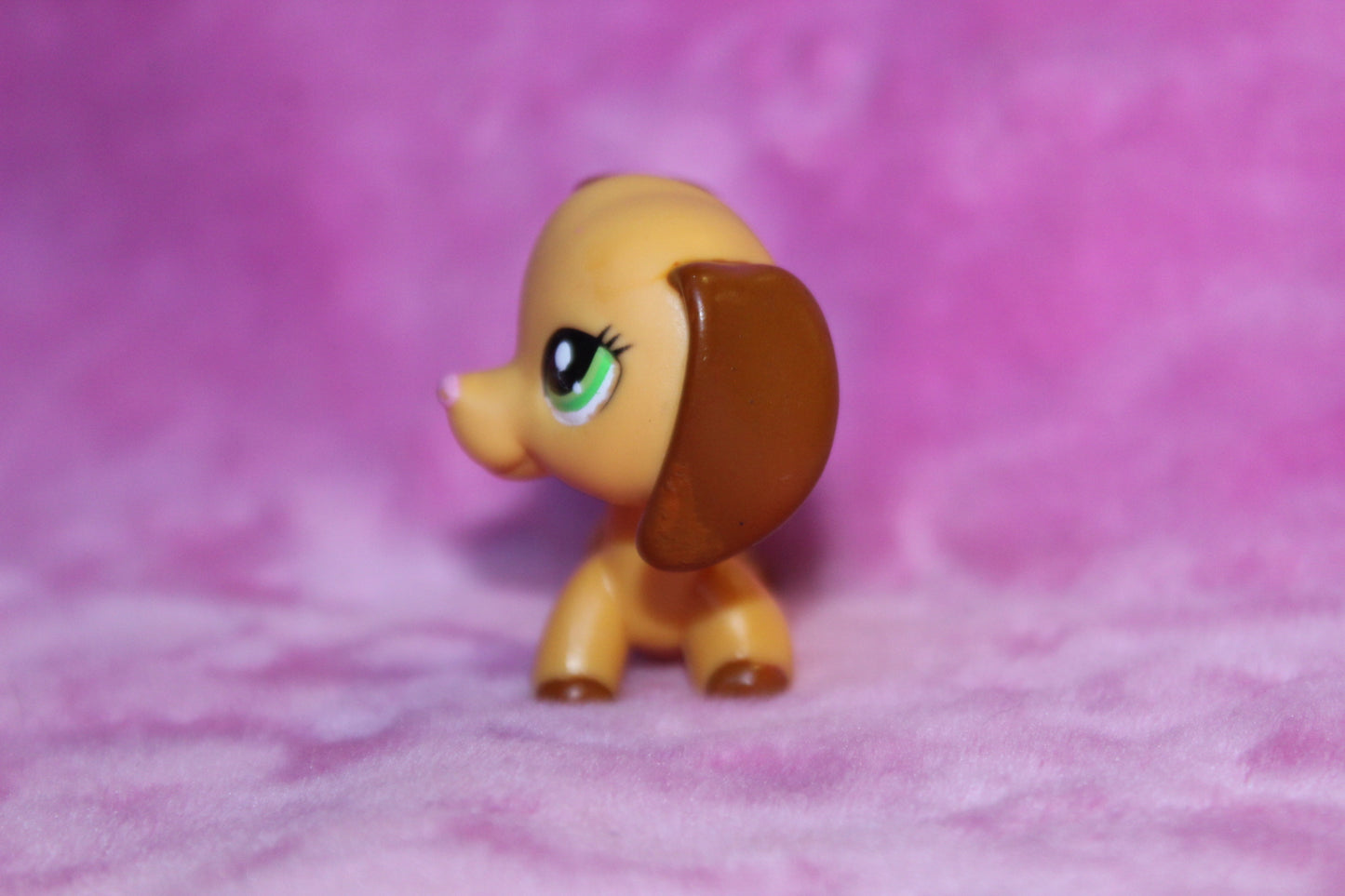 Authentic Rare Blemished LPS Blindbag Dachshund Dog (repainted ear)