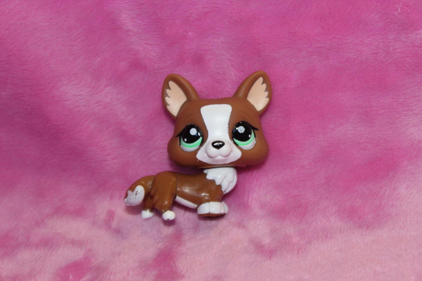 Authentic LPS Corgi Dog